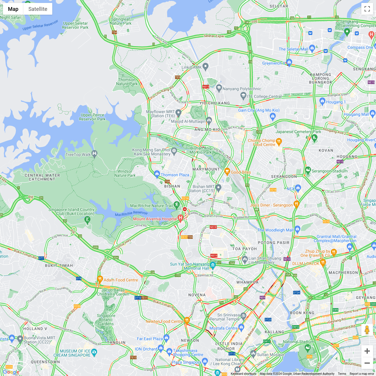 Singapore Traffic Congestion
